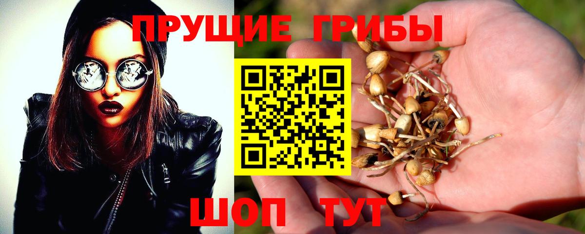 где можно купить   Псилоцибиновые грибы прущие грибы  Вход с VPN  Коломна 